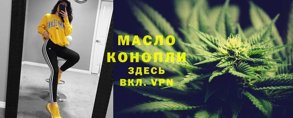 гашик Ладушкин