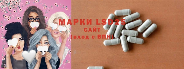 гашик Ладушкин