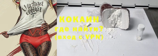 гашик Ладушкин