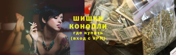 гашик Ладушкин