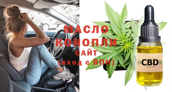 гашик Ладушкин
