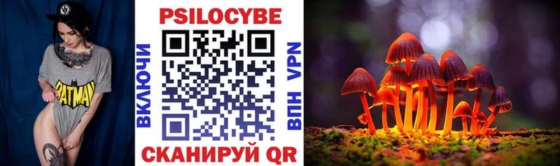 Псилоцибиновые грибы прущие грибы  Голицыно 